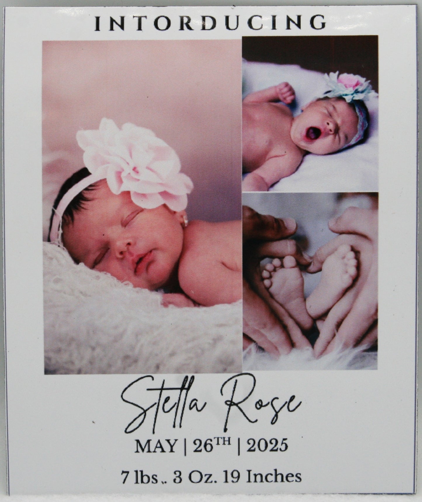 "Trio" Baby Announcement Magnets 3.25 x 4