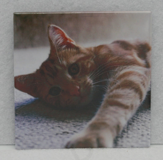 Classic 2.5 x 2.5 Photo Magnets