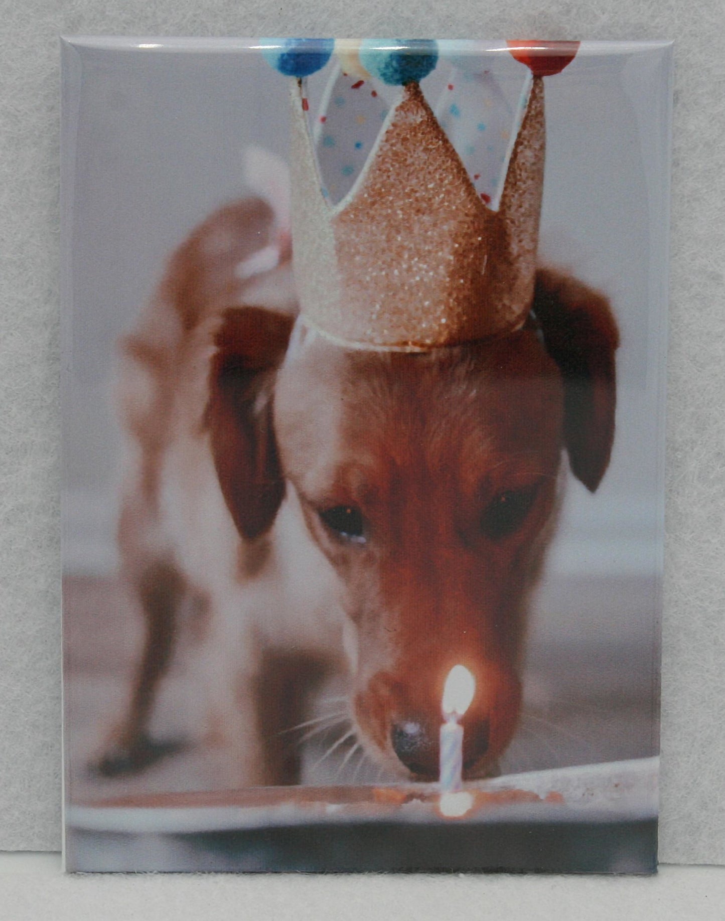 Classic 2.5 x 3.5 Photo Magnets