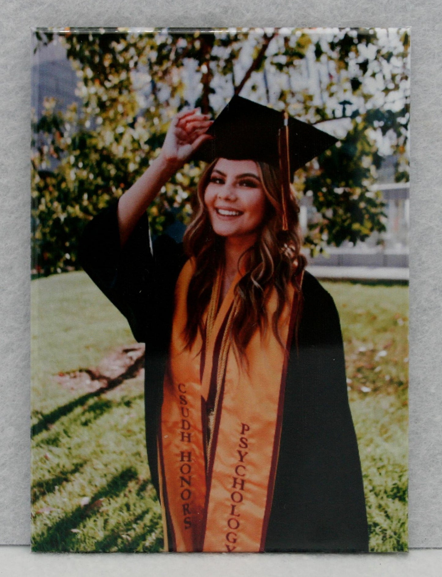 Classic 2.5 x 3.5 Photo Magnets