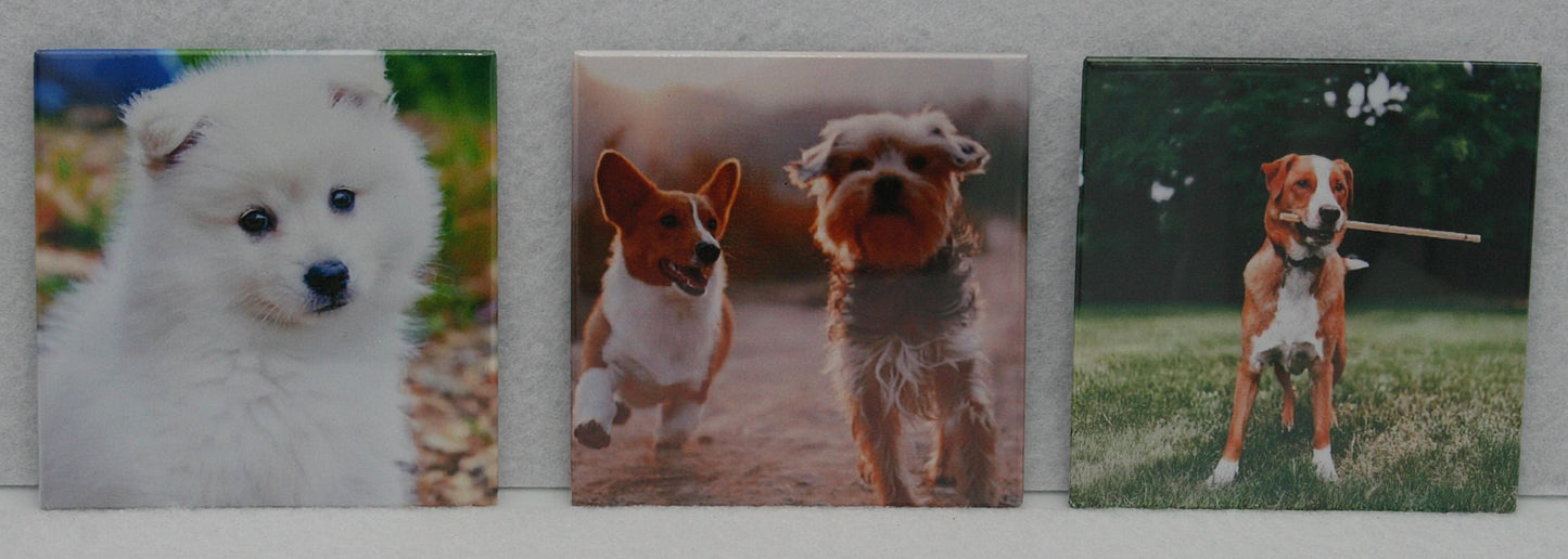 Classic 2.5 x 2.5  Photo Magnets