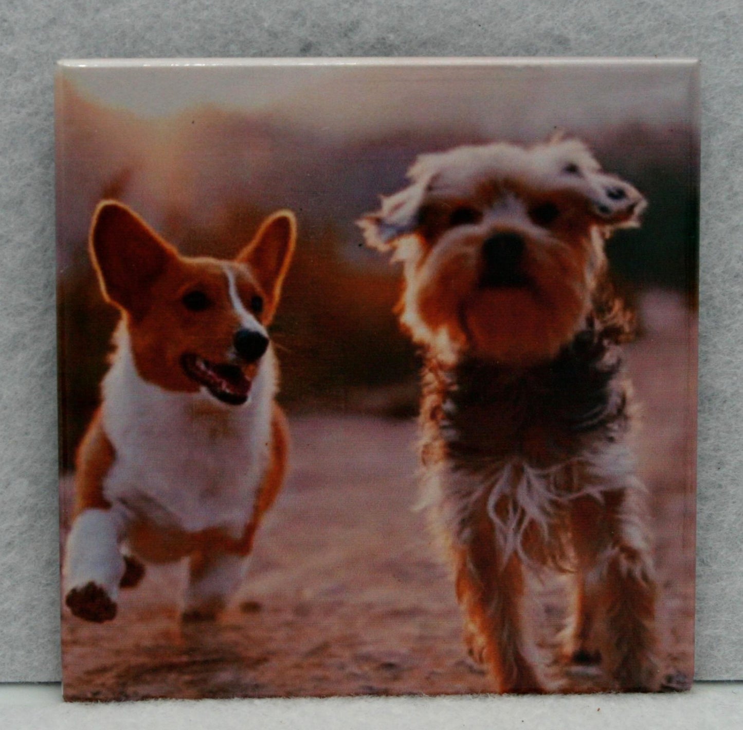 Classic 2.5 x 2.5  Photo Magnets