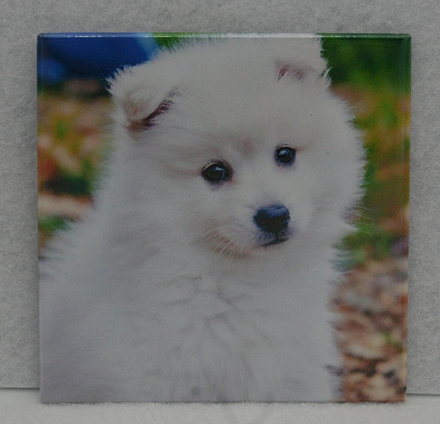 Classic 2.5 x 2.5  Photo Magnets