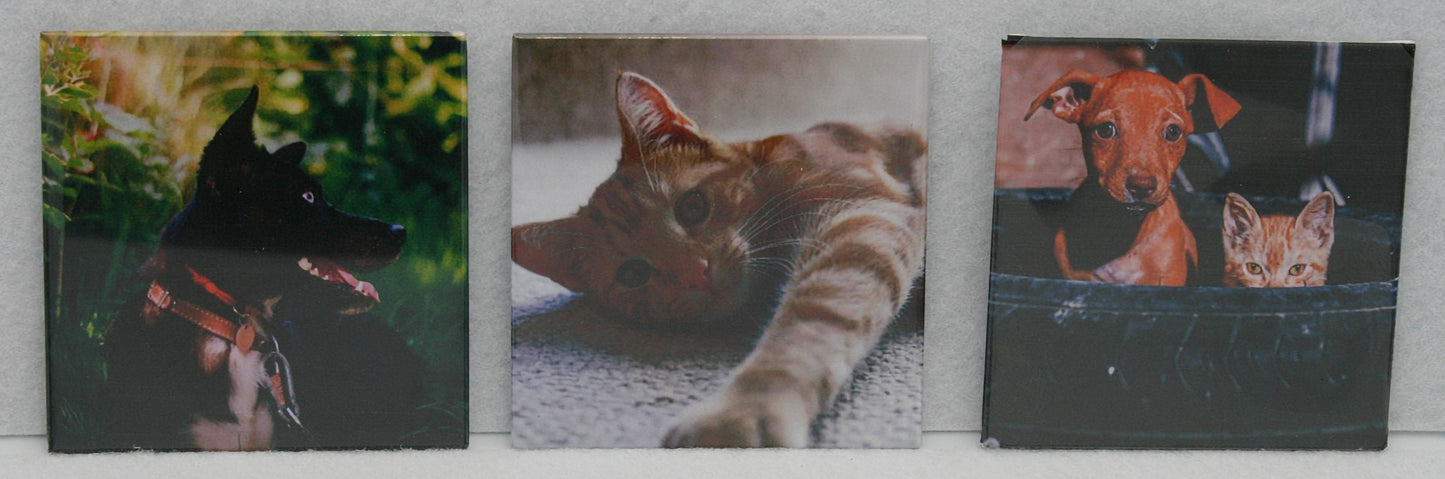 Classic 2.5 x 2.5  Photo Magnets