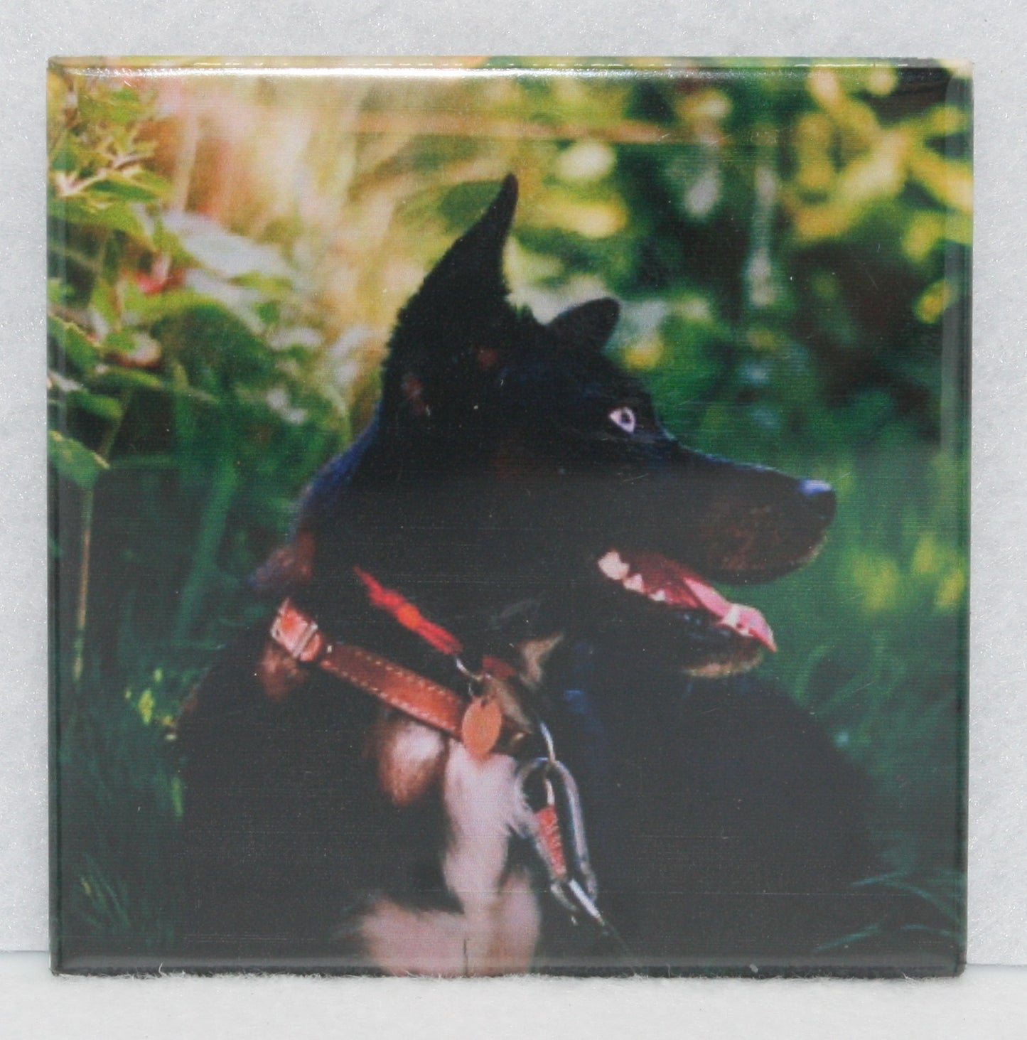 Classic 2.5 x 2.5  Photo Magnets